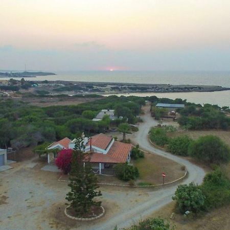 Balci Plaza Hotel And Balci Plaza Guest Bungalows Karpaz Peninsula Selenias Εξωτερικό φωτογραφία