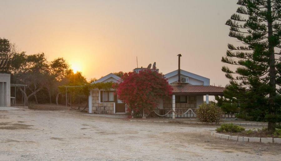 Balci Plaza Hotel And Balci Plaza Guest Bungalows Karpaz Peninsula Selenias Εξωτερικό φωτογραφία