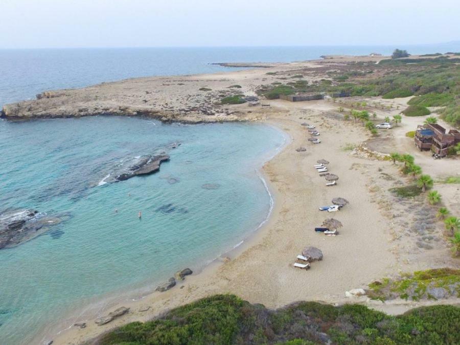 Balci Plaza Hotel And Balci Plaza Guest Bungalows Karpaz Peninsula Selenias Εξωτερικό φωτογραφία