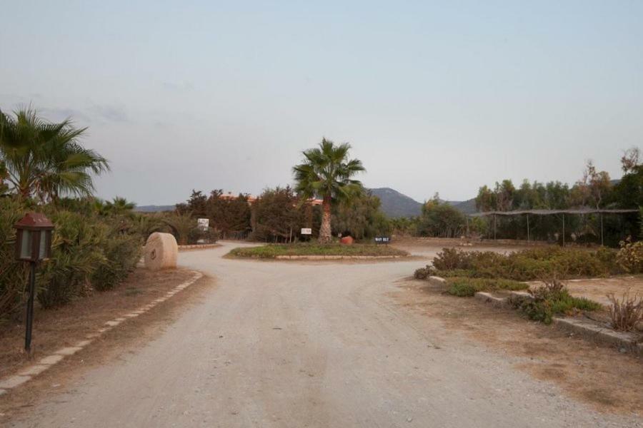 Balci Plaza Hotel And Balci Plaza Guest Bungalows Karpaz Peninsula Selenias Εξωτερικό φωτογραφία