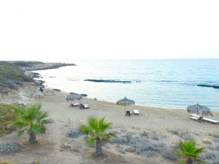 Balci Plaza Hotel And Balci Plaza Guest Bungalows Karpaz Peninsula Selenias Εξωτερικό φωτογραφία